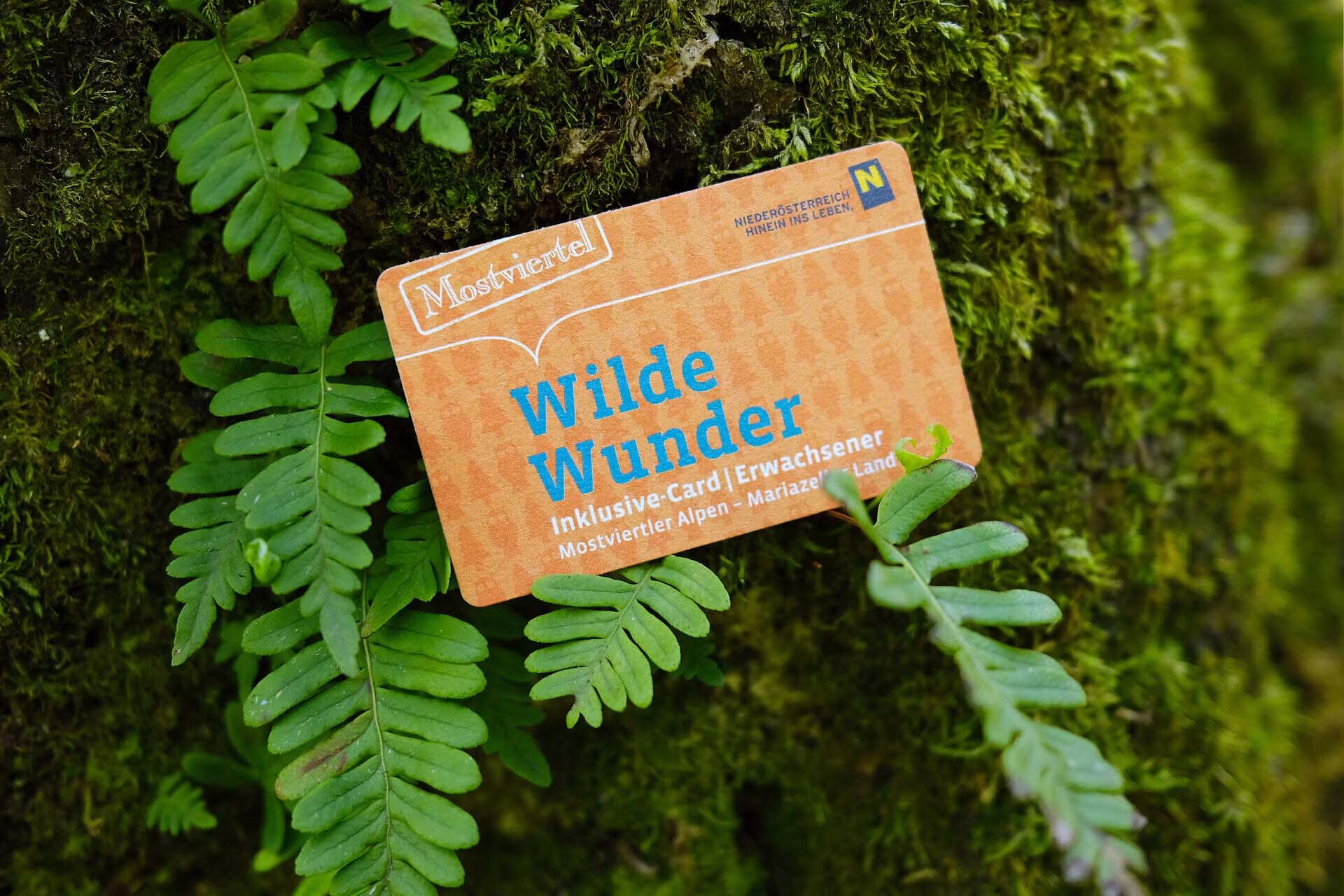 wwc_3_mostvierteltourismus_weinfranzat Die Wilde Wunder Card für das Mostviertel im Scheckkartenformat auf einem Baum it Moos.